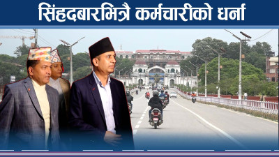 निजामति ऐनविरुद्ध कर्मचारी, सिंहदरबारभित्र सचिवहरुको दौडधुप  