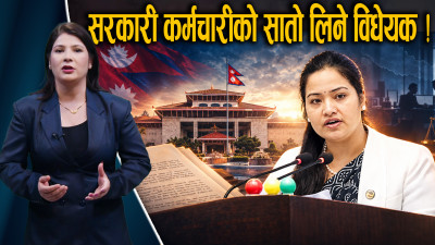 सरकारी कर्मचारी ठीक पार्ने विधेयक, राजनीति र ट्रेड युनियनमा कडाइ