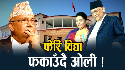 विद्या फकाउँदै ओली, सहयोगको याचनासहित टेलिफोन !