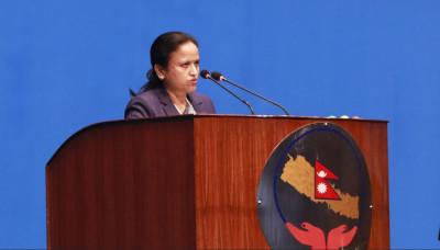 प्रतिनिधिसभामा दुई प्रतिवेदन प्रस्तुत