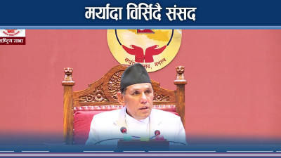 प्रकृतिको निधनप्रति राष्ट्रिय सभाद्वारा दुःख व्यक्त, न्यायका लागि कुटनीतिक पहल गर्न आग्रह