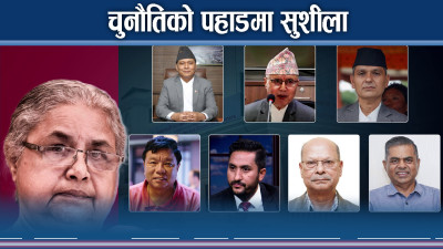 भ्रष्टाचारी को, कारबाही कसलाई ?