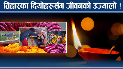 तिहारका दियोबाट खुशी जीवन ! दिपावली र छठको अनौठो संयोजन