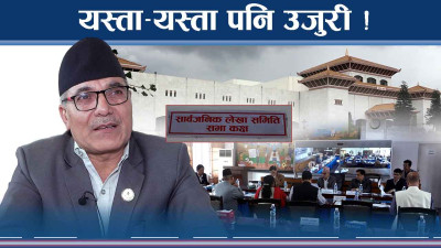थरिथरीका उजुरीले च्यापियो समिति, सांसदलाई डिउटीमा खटाइयो 