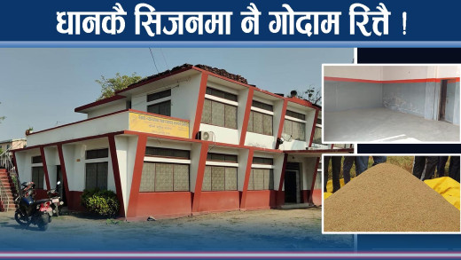 गुणस्तरीय धान पाउनै मुस्किल, रुपन्देहीमा गोदाम रित्तै