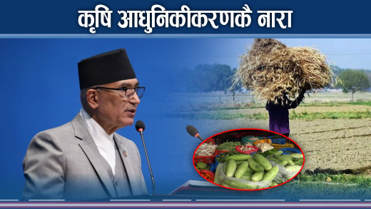 चामलमा दुई वर्षमा आत्मनिर्भर बन्ने योजना