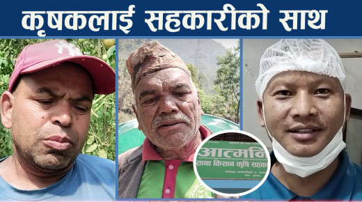 सहकारी स्थापनाः कृषकलाई ऋण र बजारीकरणमा हाइसञ्चो