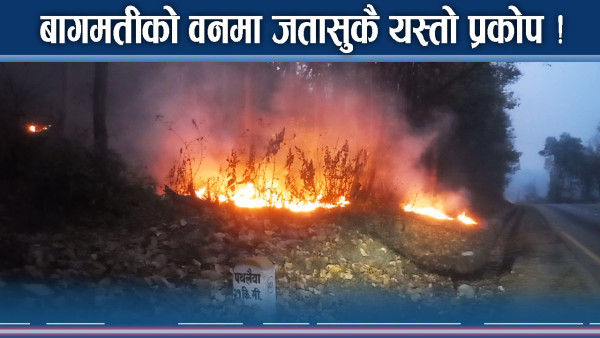 बागमतीका प्राय सामुदायिक वनमा डढेलो, प्रदुषण उच्च 