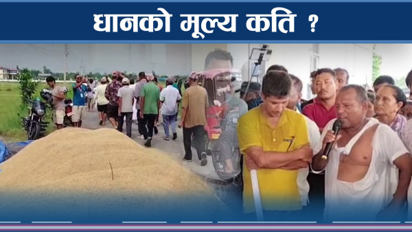 चैते धानमा विचौलियाको रजगज