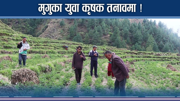 विप्लवले फलाएको आलु किन्ने विनोद चौधरीले मुगुको आलु किन्लान ?