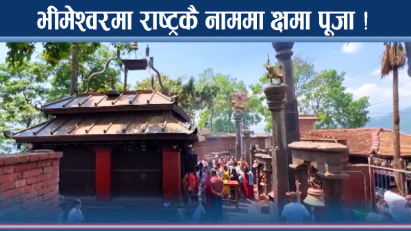 भीमसेनमा पसिना ! जेनजी आन्दोलन परिणाम ! राष्ट्रपति क्षमा पूजामा !