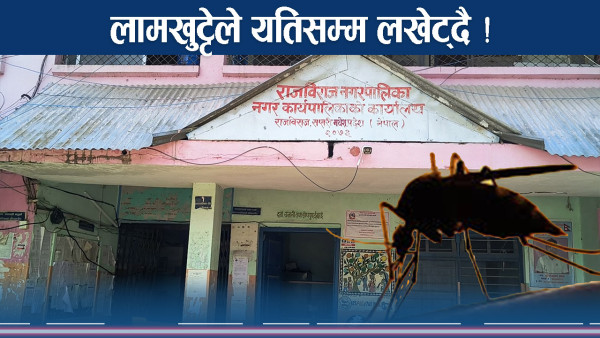 लामखुट्टेले पा¥यो विजोग, प्रकोप नियन्त्रणमा जतततै खेलाची !