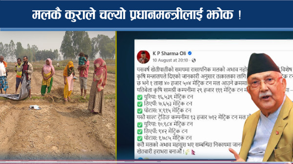 रासायनिक मलले मच्चायो लफडा ! प्रधानमन्त्री एकातिर कृषिमन्त्री अर्कैतिर