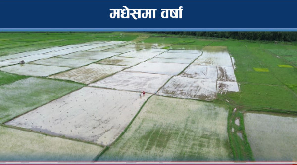अन्तिम साउनमा पर्न थाल्यो पानी, मधेसमा खुशी