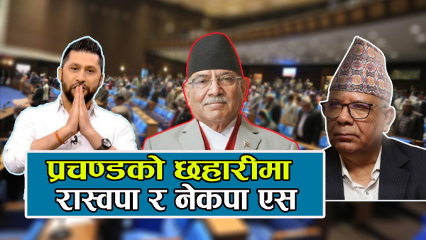 सत्ता पक्षको दबाबले साना दल एक ठाउँमा