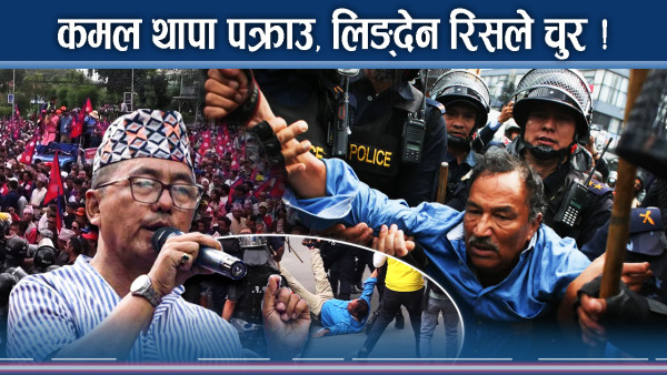 खारेज भएको २ दशकपछि टाउको उठाउँदै राजावादी, को कति जिम्मेवार ? 