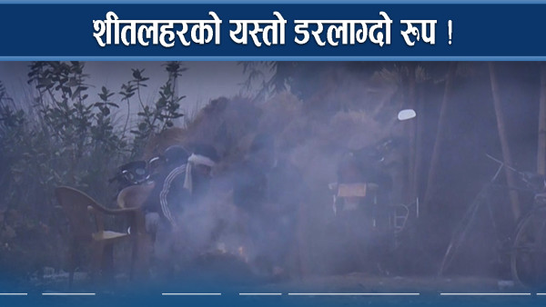 शीतलहरले तहसनहसको जोखिम ! यस्तो देखिदैछ परिदृष्य !