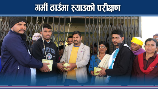 स्याउ पकेटको योजनामा कैलालीको मोहन्याल