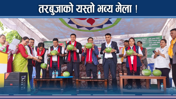 तरबुजाको यस्तो चुलिलाग्दो मेला ! पहिले चाख्ने, मनपरे किन्ने !
