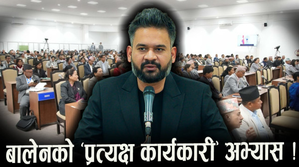 संसद नरुचाएका प्रधानमन्त्री प्रत्यक्ष कार्यकारीको अभ्यासमा, सर्वत्र आलोचना