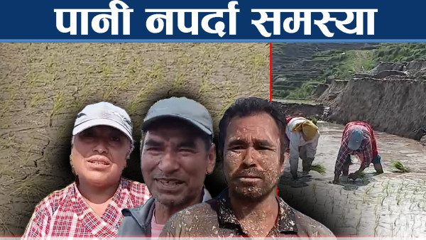 पर्याप्त पानी नपर्दा हुन सकेन रोपाई, दोलखाका किसान चिन्तित