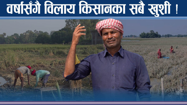 किसानमाथि फेरि बज्रपात ! वर्षा बनायो पीडाको पहाड ! सरकार मूकदर्शक
