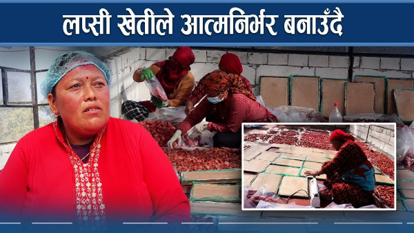 सिन्धुपाल्चोकको लप्सीको माग चीनदेखि भुटानसम्म