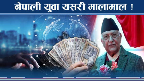 आईटी क्षेत्रले तहल्का मच्चाउँदै ! यस्तोसम्म मालामाल !
