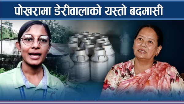 लोकल भन्दै झुक्याउने पोखराका दुध व्यापारी परे महानगरको फन्दामा