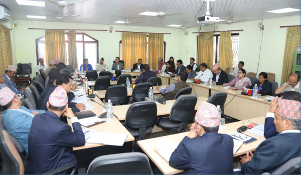 नागरिकता वितरणको विषयलाई सामान्य रुपमा नलिन सांसदहरूको आग्रह