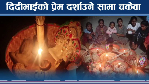 मिथिलाञ्चलको गौरव सामा चकेवा लोप हुने अवस्थामा