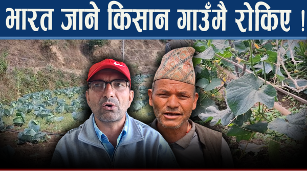 टनेल खेतीबाट लाखौ आम्दानी, दैलेखमा तरकारी खेती क्रान्ति