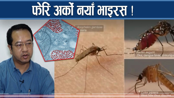 अमेरिकामा देखियो खतरनाक भाइरस, जोगिने कसरी ?