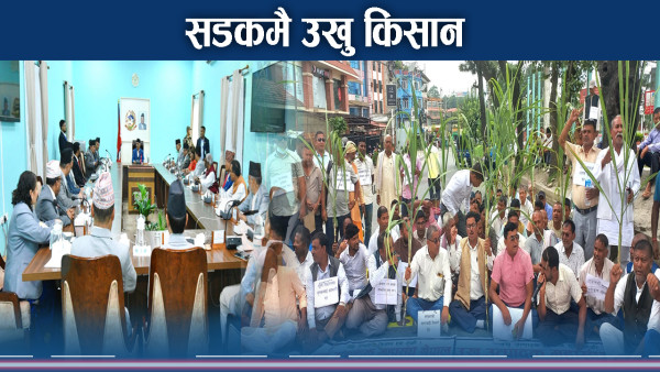 उखु किसानको माग सम्बोधनमा सरकार उदासिन, संसदमा उठ्यो आवाज