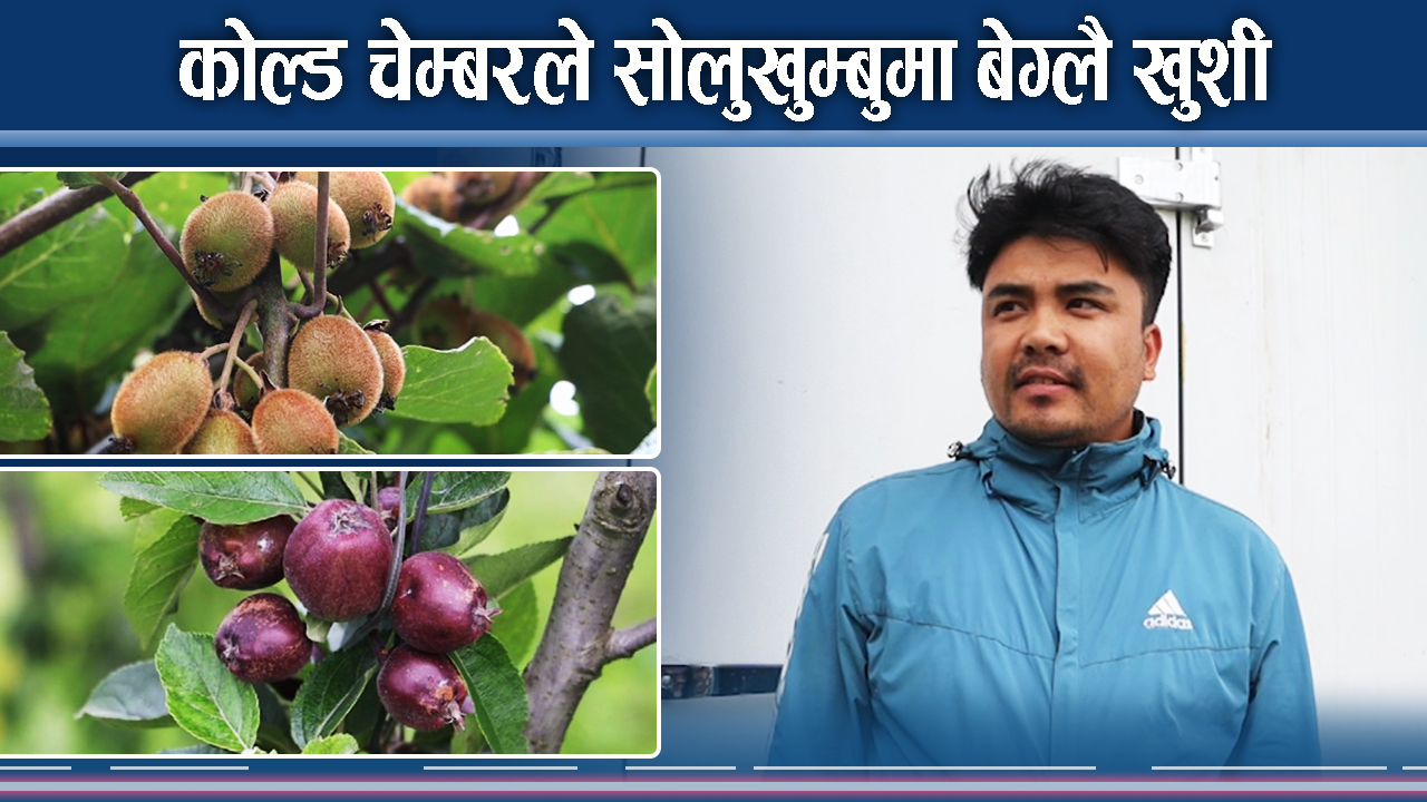 सोलुखुम्बुमा ५ कोल्ड चेम्बर, किसानहरुको मुहार उज्यालो