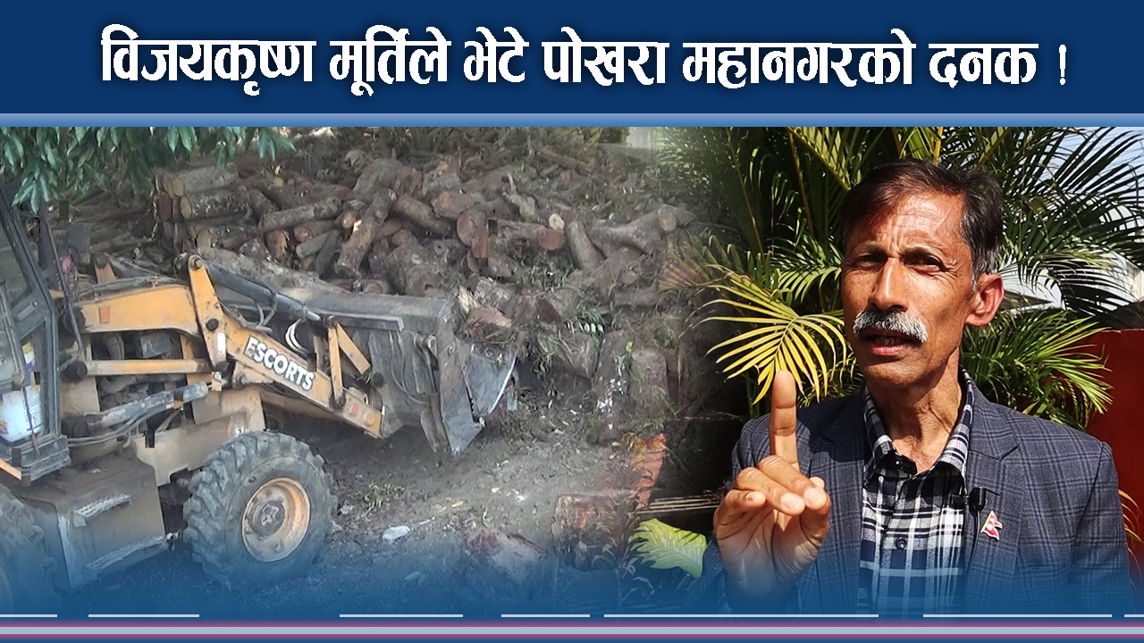 कोटी होमका लागि काटिएका वरपिपलका दाउरा जफत, विजयकृष्ण मूर्तिलाई कारबाही गर्न माग