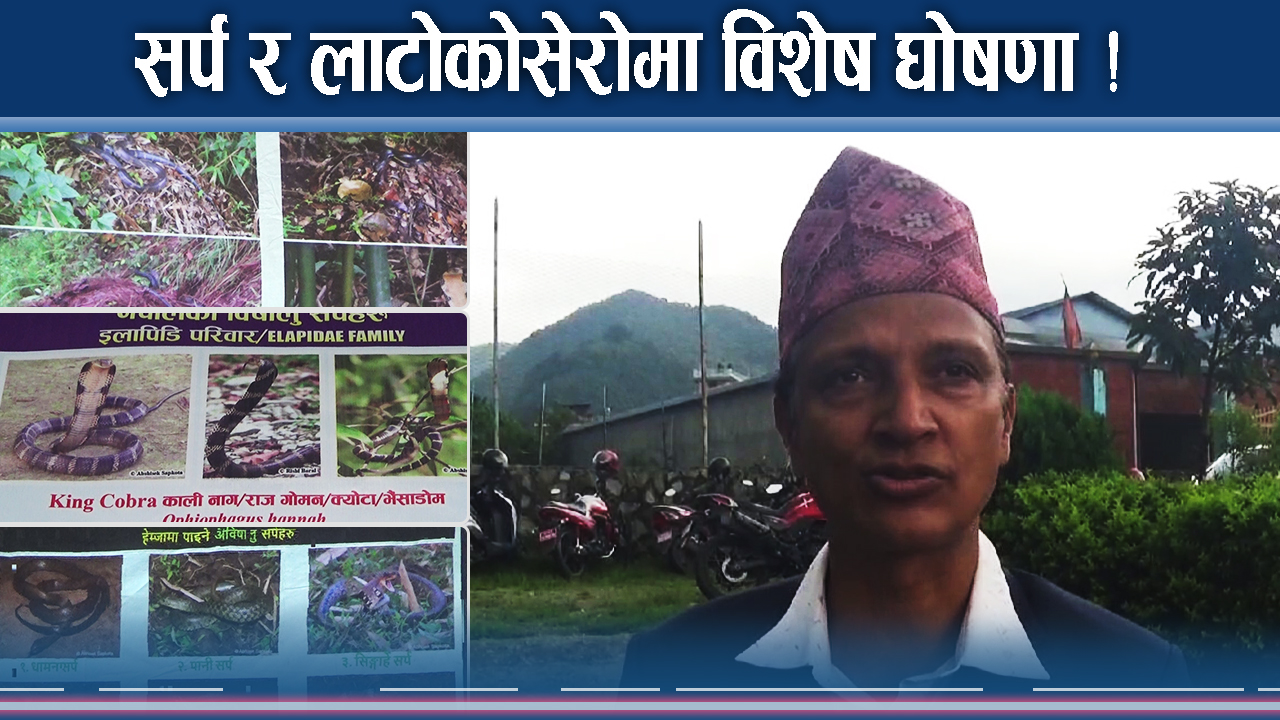 पोखरामा सर्प र लाटोकोसेरो वडा घोषणा, अनुसन्धान प्रर्वद्धन गरिँदै