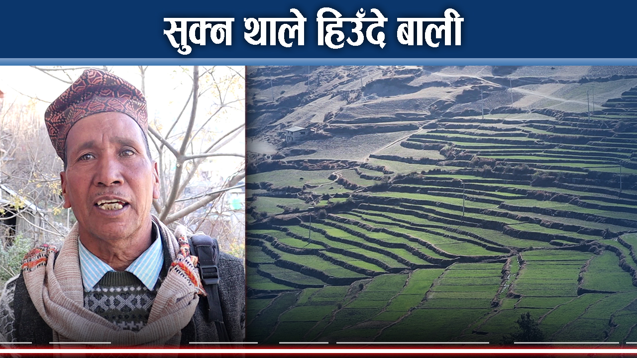 अझैसम्म भएन हिमाली जिल्लामा हिमपात, किसान चिन्तित