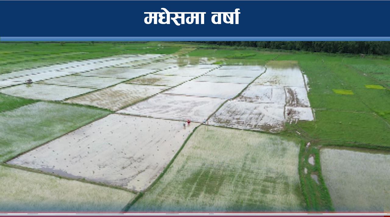 अन्तिम साउनमा पर्न थाल्यो पानी, मधेसमा खुशी