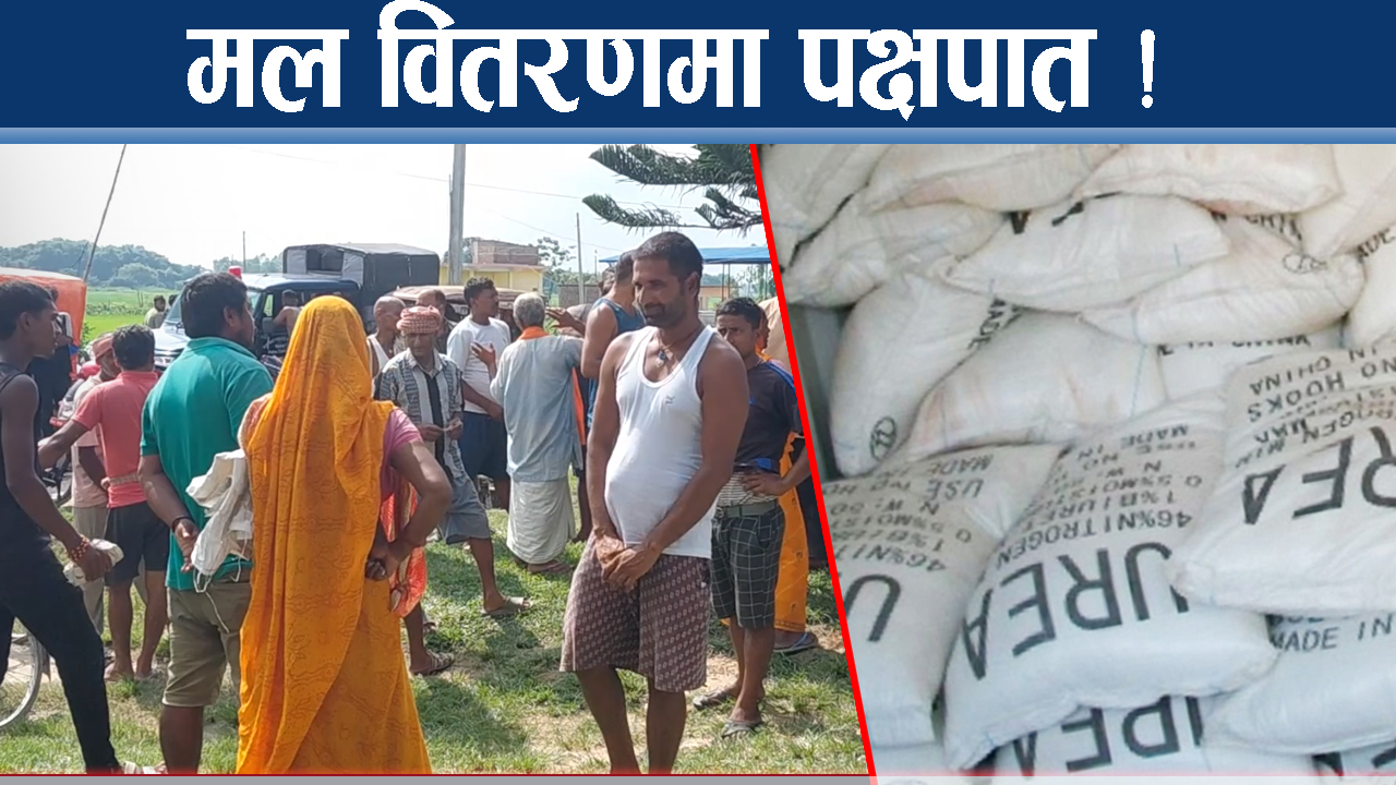 विष्णुपुर पालिकामा मल वितरणमा पक्षपातको आरोप, किसान सडकमा