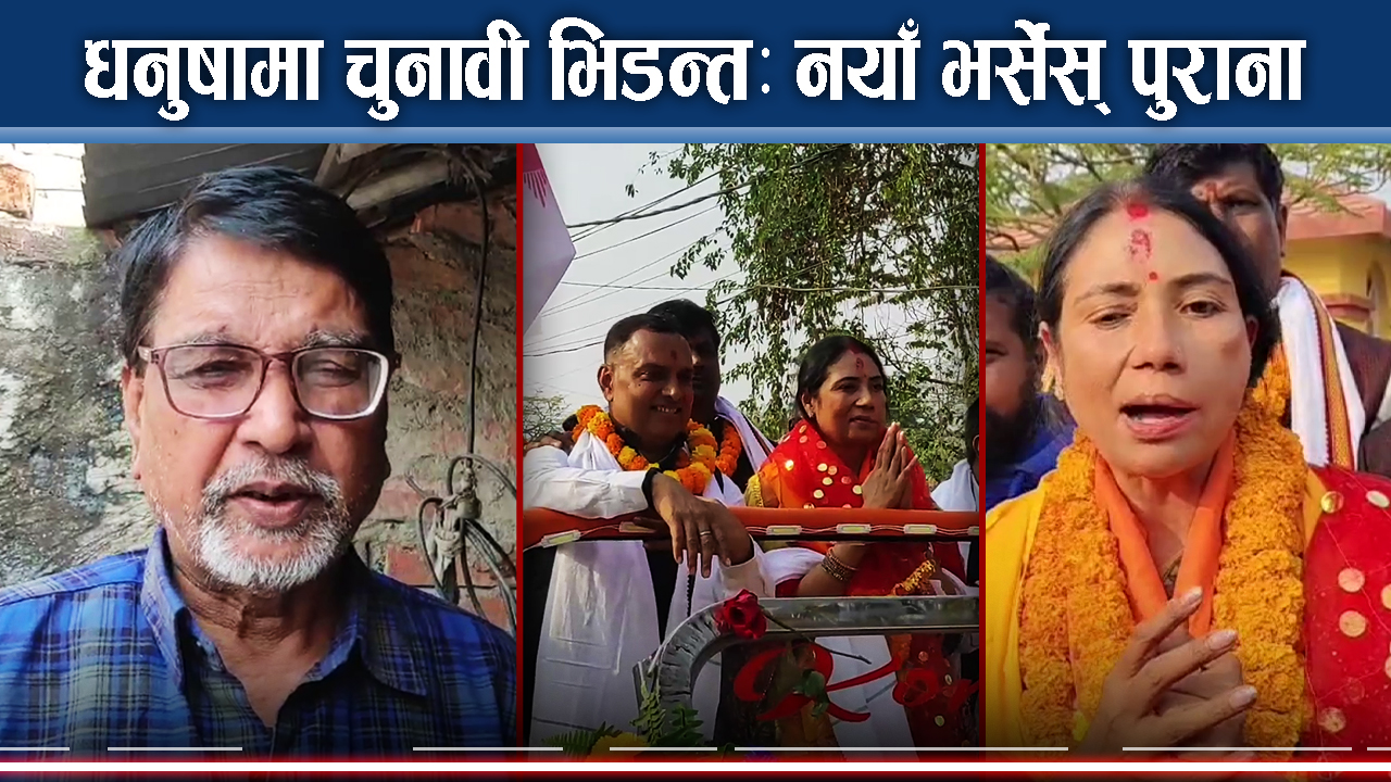 ठूला दलका हेभीवेटदेखि नयाँ शक्तिसम्म, कसको पल्ला भारी ?