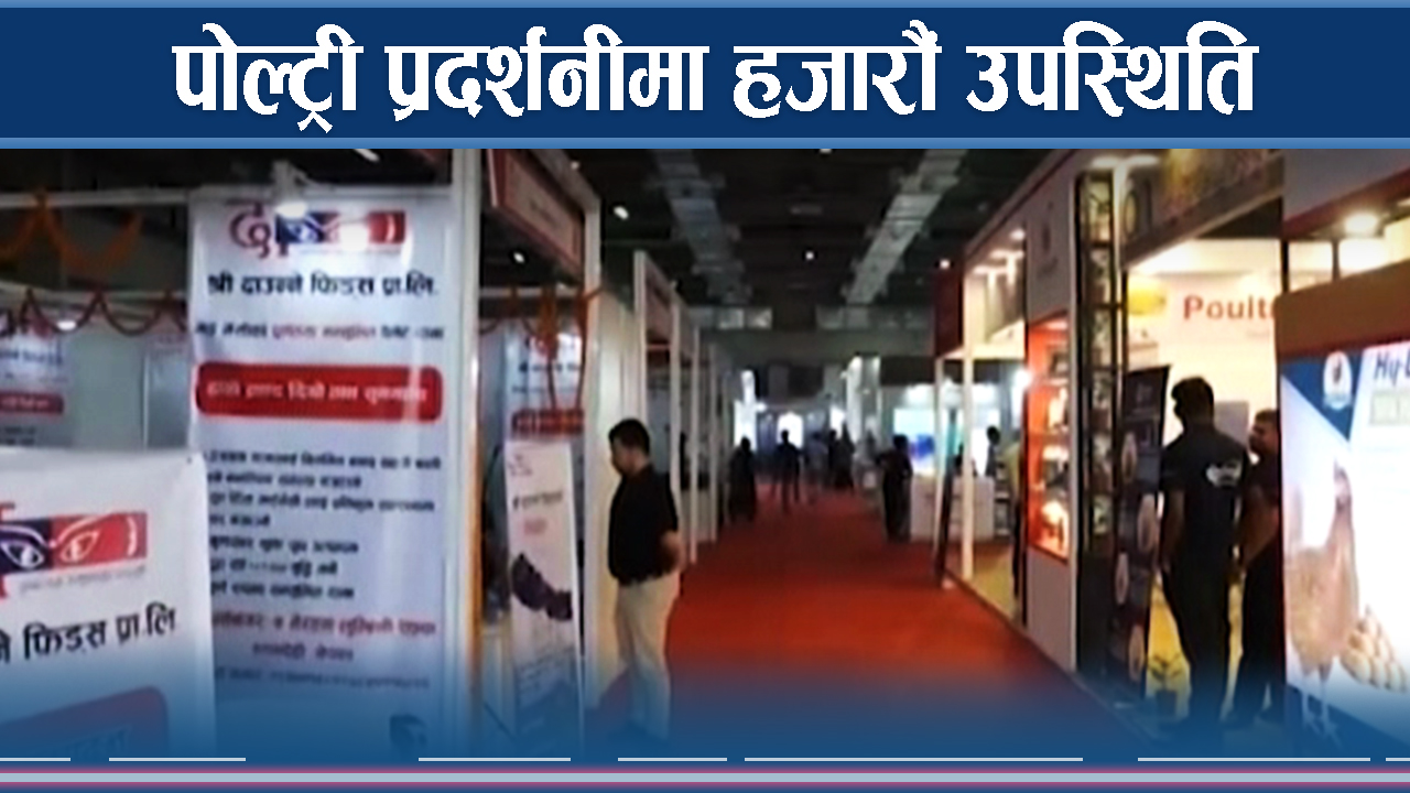 पोल्ट्री प्रदर्शनीले चितवन भरिभराउ, होटल व्यवसायमा रौनक