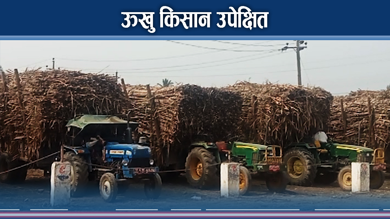 अनुदान खारेज गरिएपछि ऊखु किसान आन्दोलित