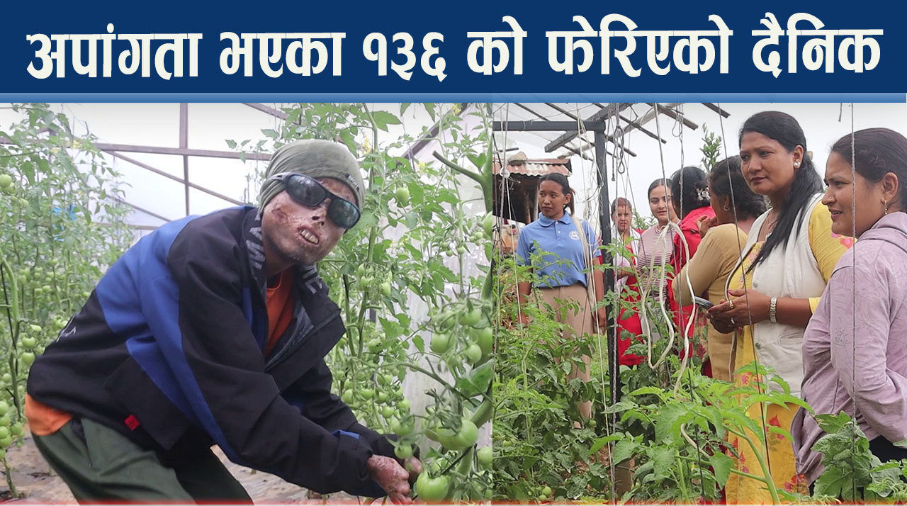 अपाङ्गता बाधा होइन अवसरः आत्मनिर्भर बन्दै सिन्धुपाल्चोकका १३६ जना
