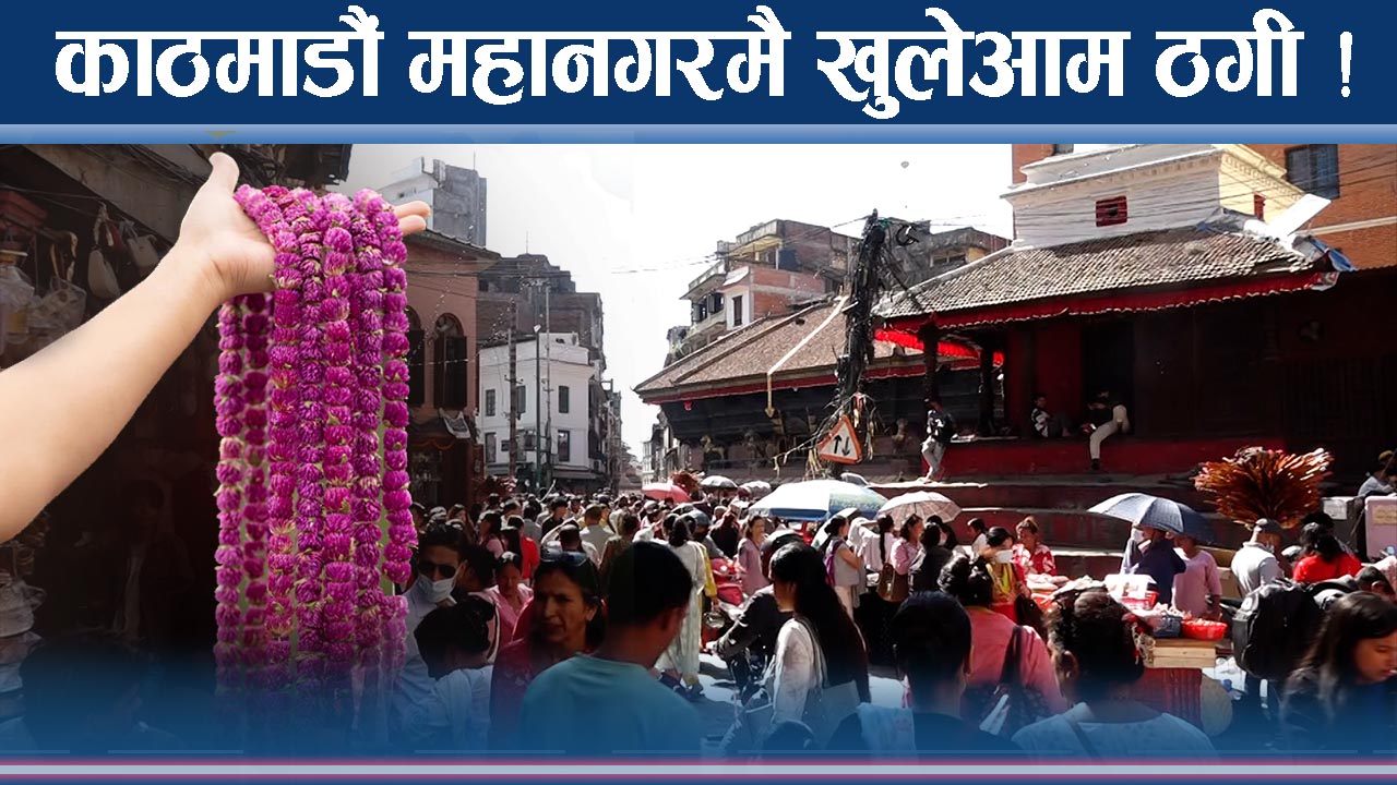 काठमाडौंमा फूलमै कालोव्यापार ! उज्यालो तिहारमा खुलेआम ठगी !