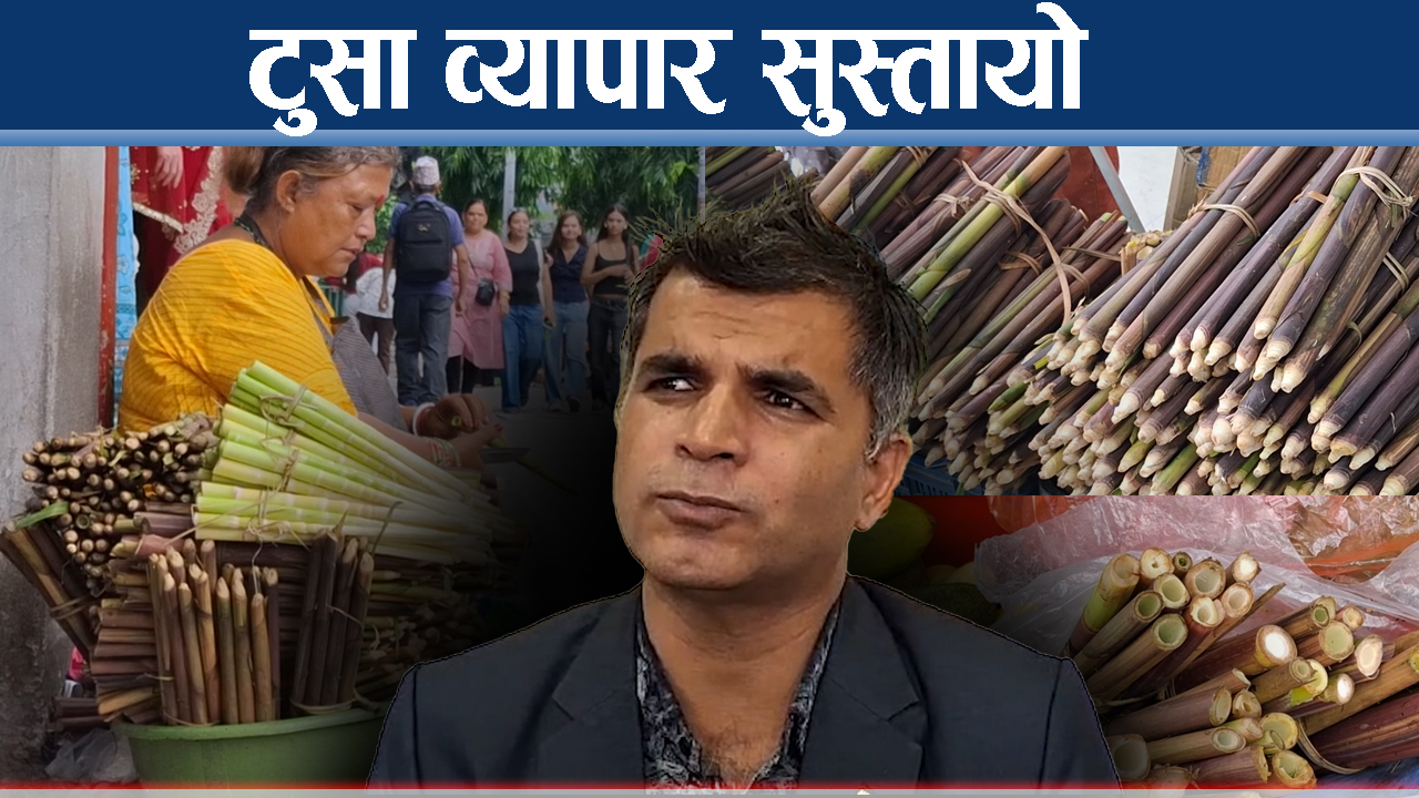 टुसा व्यापारमा कडाई, पोखरामा माग भन्दा कम आपूर्ति