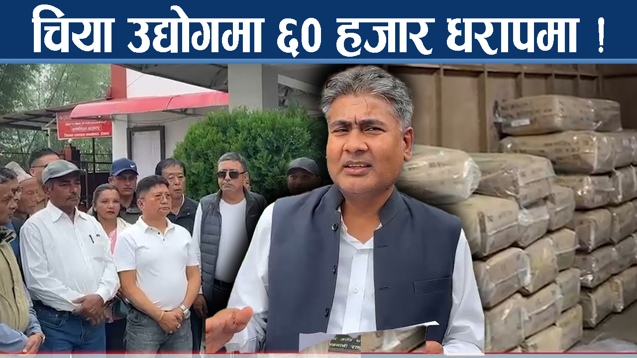 भारतलाई काउन्टर दिने उपायः तेस्रो मुलुकमा चिया बजार विस्तार