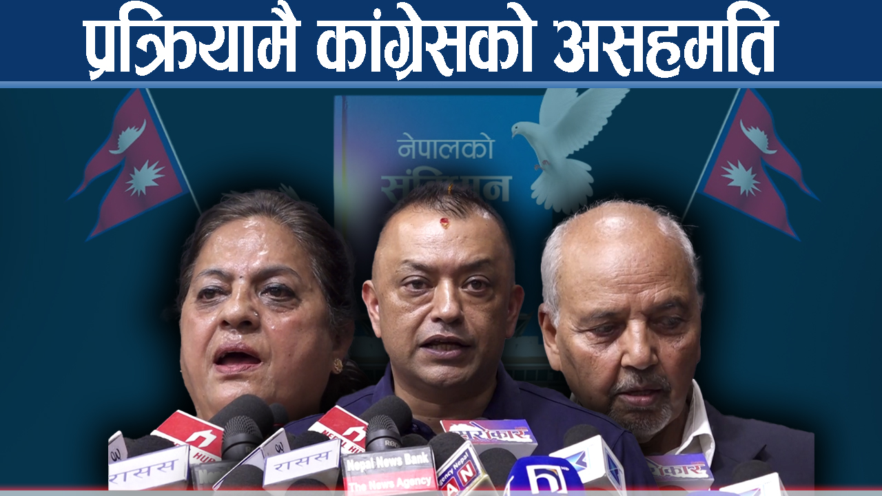 शासकीय स्वरूपमा संसदीय व्यवस्था नै हुनुपर्ने प्रस्ताव