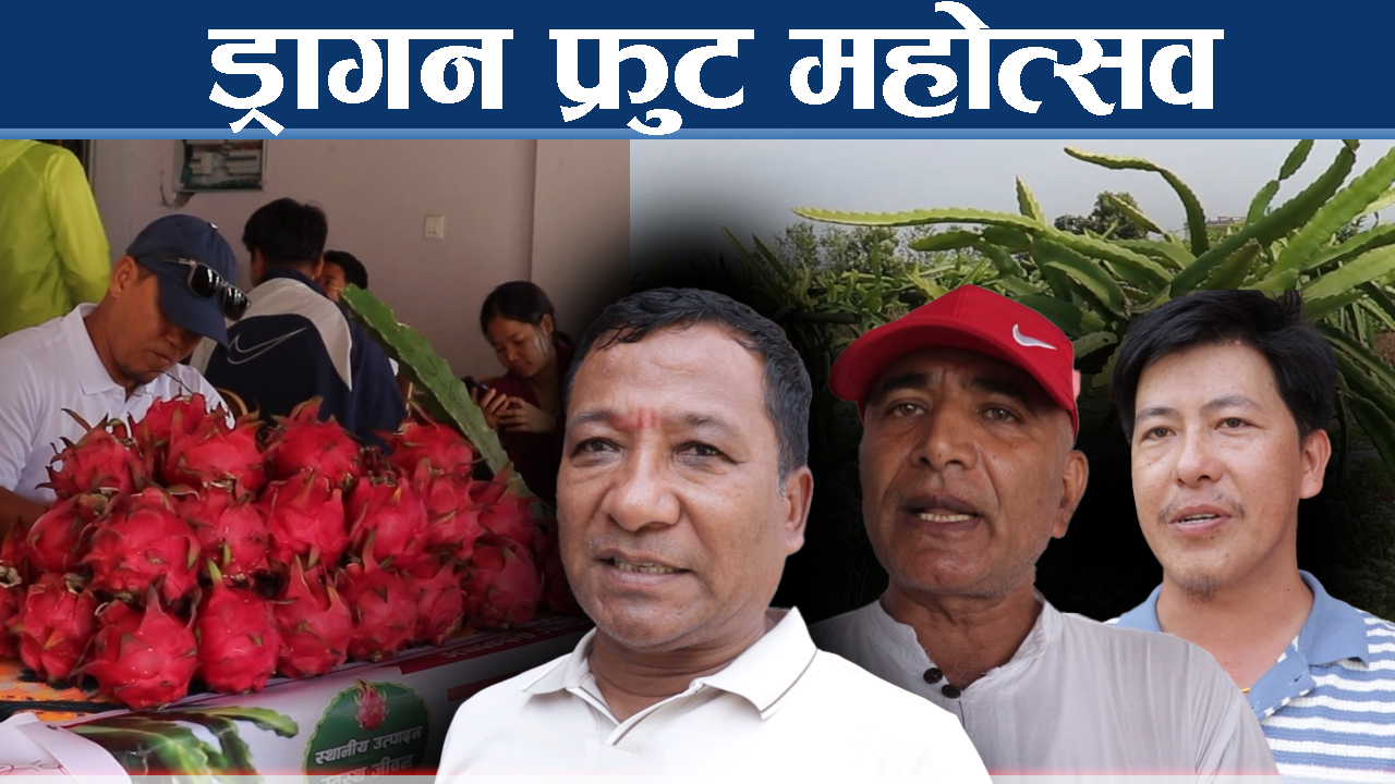 ड्रागन फ्रुट प्रवद्र्धन गर्न हेटौंडामा ३ दिने महोत्सव
