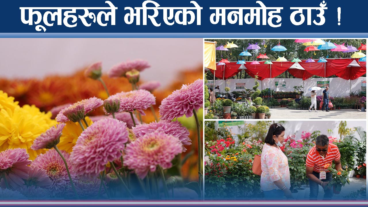 एकै ठाउँमा सयौं फूलहरुले भरिएको ठाउँ ! सुन्दरतासँगै व्यापार पनि